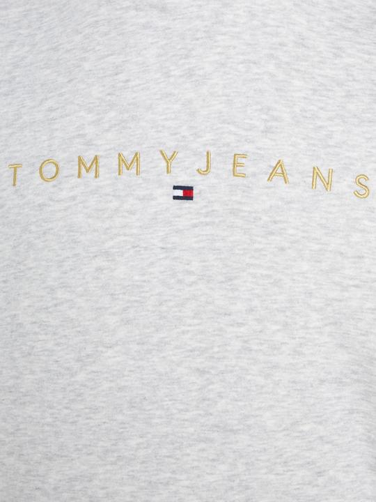Produktbild Tommy Hilfiger Tommy Jeans Regular Heren Hoodie - Grijs - Maat S (S)