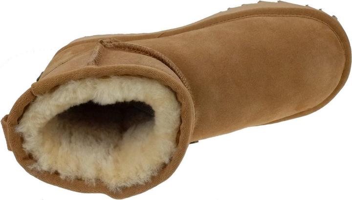 Actual product image Warmbat Wallaby (36)