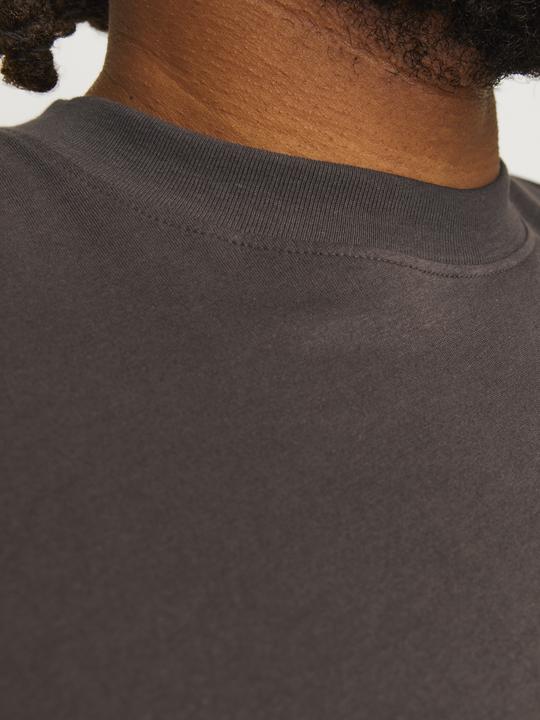 Produktbild Jack & Jones Jjebradley Tee Ss Noos Pls (5XL)