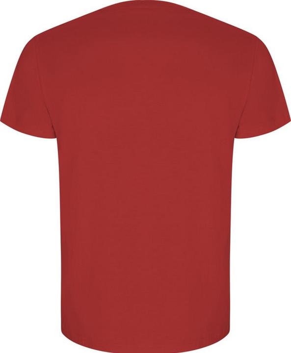 Image du produit Alpinia - T-shirt GOLDEN - Homme (XXL)
