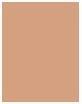 Actual product image Clarins Everlasting Foundation No.112C Amber (No.112C Amber)