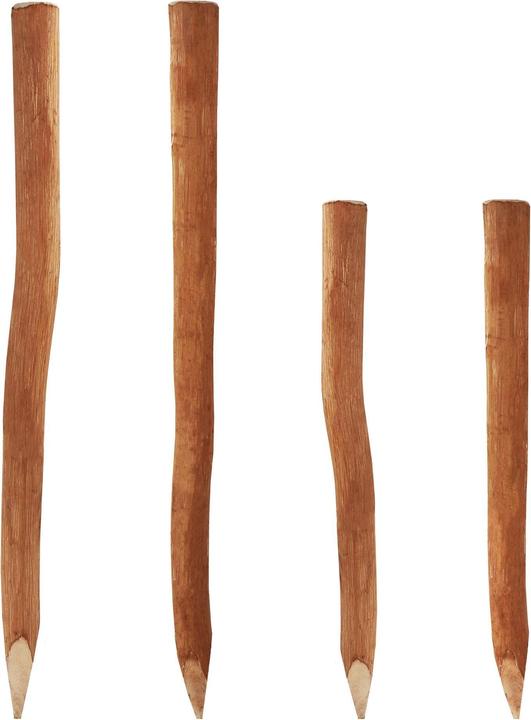 Immagine prodotto Aquagart 30 Holzpfosten für Staketenzaun 1,5m I Durchmesser 6-9cm I Zaunpfosten aus Haselnuss I Zaun-Pfahl