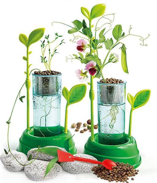 Actual product image Clementoni Botany and hydroponics