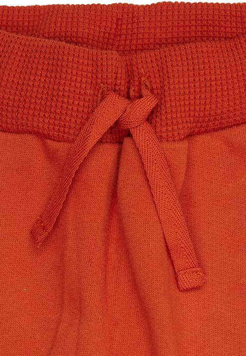 Image du produit loud + proud Pantalon sweat Terracotta (86)