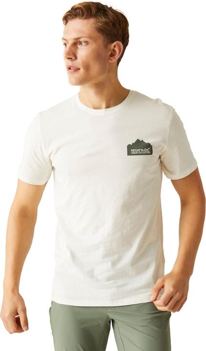 Actual product image Regatta Mens Breezed IV Graphic Print T-Shirt (M)
