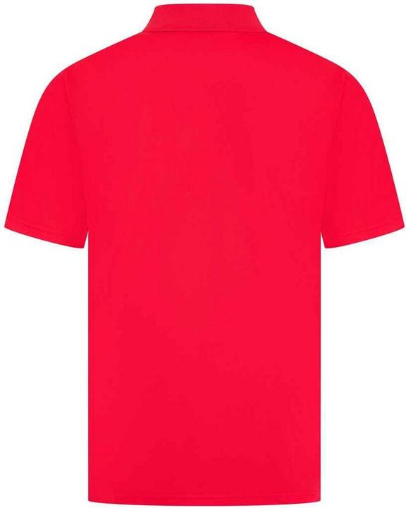 Immagine prodotto Henbury Maglietta Polo Uomo (S)