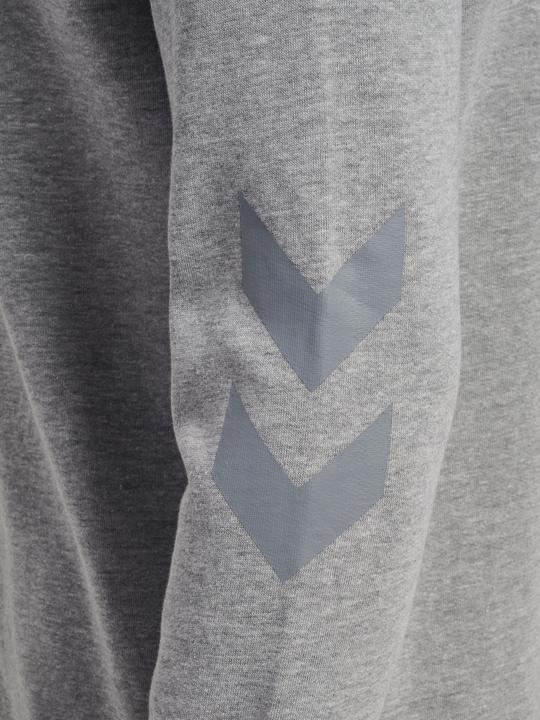 Actual product image hummel Legacy Zip Hoodie (XS)