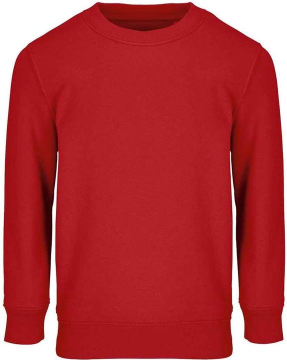 Actual product image Sols Childrens/Kids Columbia Sweatshirt (104)