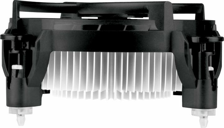 Actual product image Arctic Alpine 17 LP (55 mm)