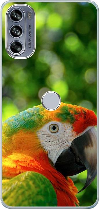 Parrot
