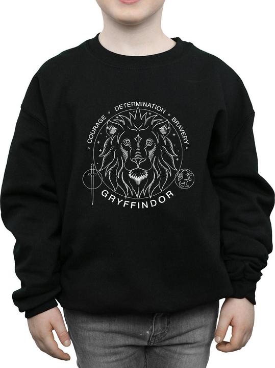 Image du produit - Sweat GRYFFINDOR SEAL - Garçon (140, 146)