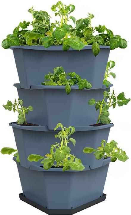 Produktbild Gusta Garden Aufzuchttöpfe PAUL POTATO Starter, 4 Etagen, Blaugrau (38.80 cm)