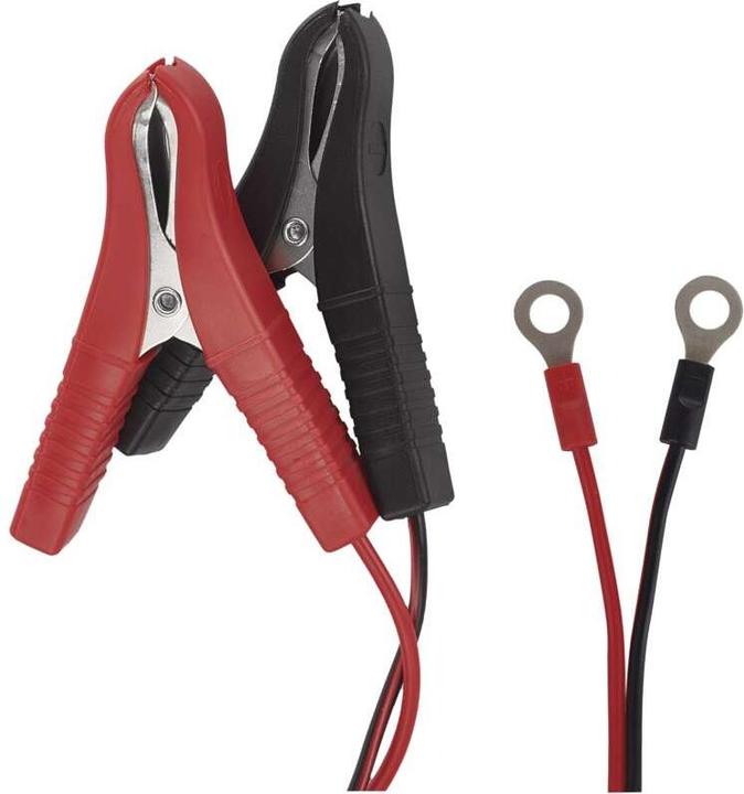 Image du produit Emos Chargeur de batterie de voiture /12V 0,8A (12V, 6V, 0.80 A)