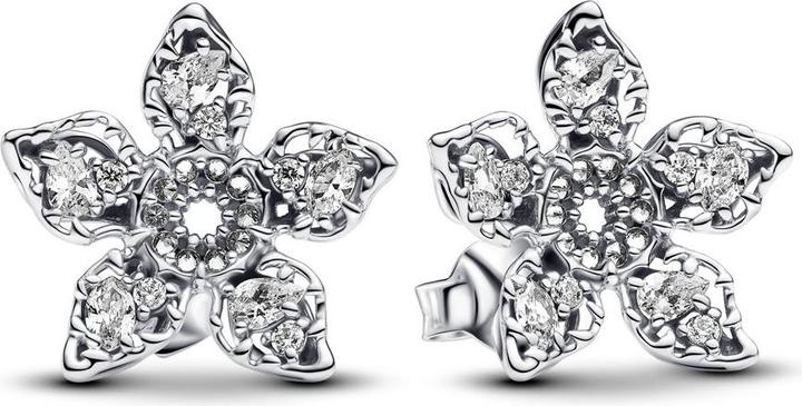 Actual product image Pandora Earrings (Sterling silver)