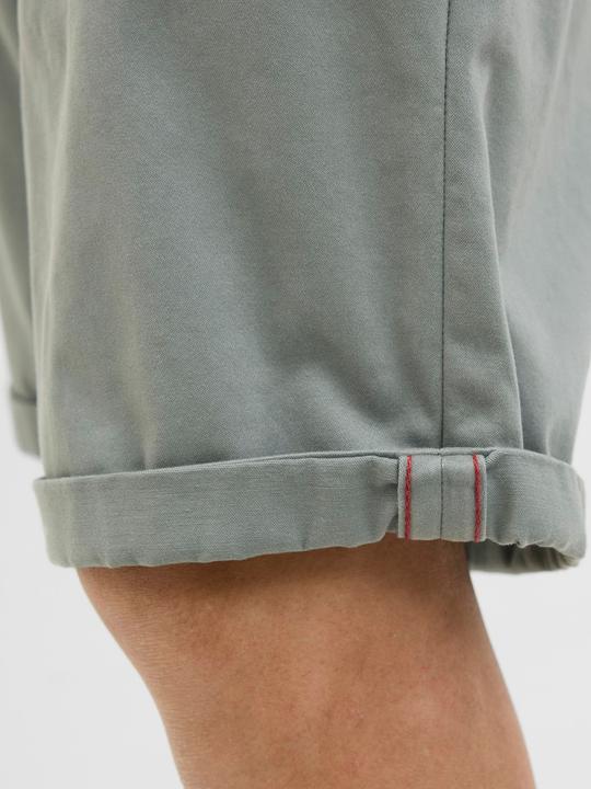 Image du produit Jack & Jones Coupe normale Short chino Short chino (L)