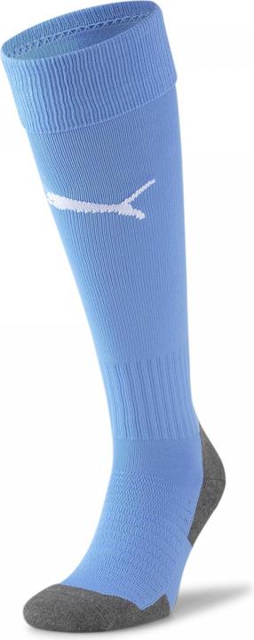 Actual product image Puma Team LIGA Socks CORE-703441 (31, 34)