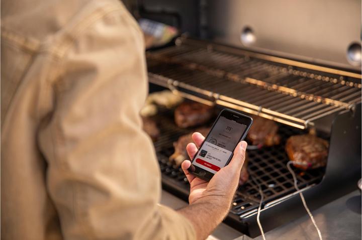 Image du produit Weber Genesis E-425s (14.10 kW)