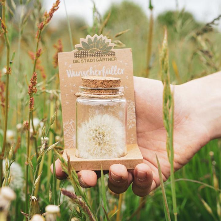 Actual product image Natura Punto Dandelion (Ø 4 x 8 cm)