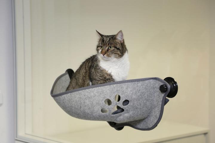 Produktbild Oster Sunny Seat (Katze)