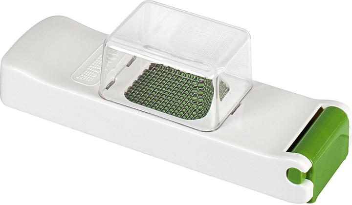 Alligator Mini