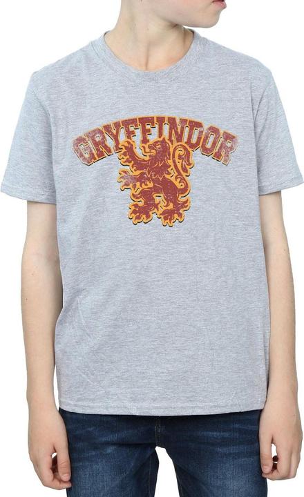 Image du produit - T-shirt GRYFFINDOR SPORT EMBLEM - Garçon (128)