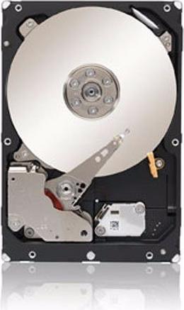 Actual product image IBM 81Y9690 hard disk (1 TB, 2.5")