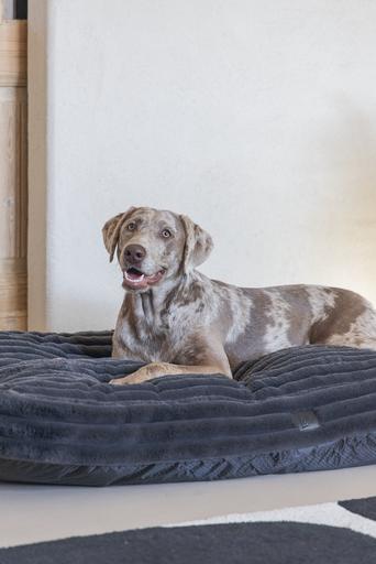 Productafbeelding Designed by Lotte Reza ligkussen (Hond)