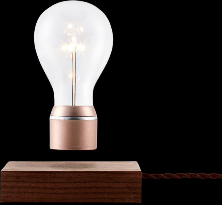 Actual product image Flyte Lampe Buckminster levitation