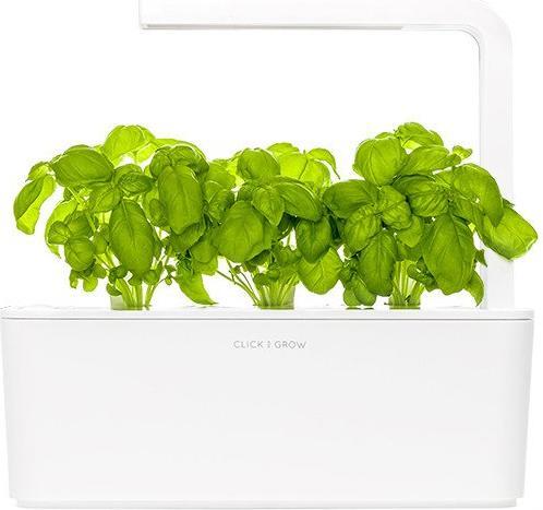 Produktbild Click and Grow Basilikum (Kräutersamen)