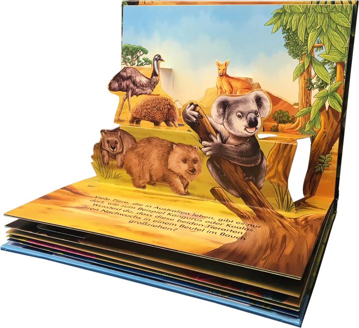Produktbild Mein wildes Pop-up-Buch (Deutsch)