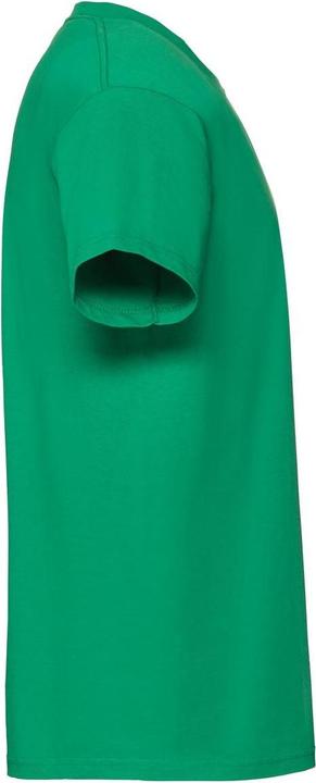 Actual product image Fruit of the Loom Mens Iconic Premium Ringspun Cotton T-Shirt (XL)