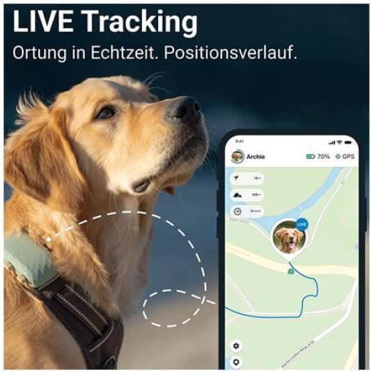 Actual product image Tractive GPS Dog (XL, Dog, Dog sport, Walks, Jogging)
