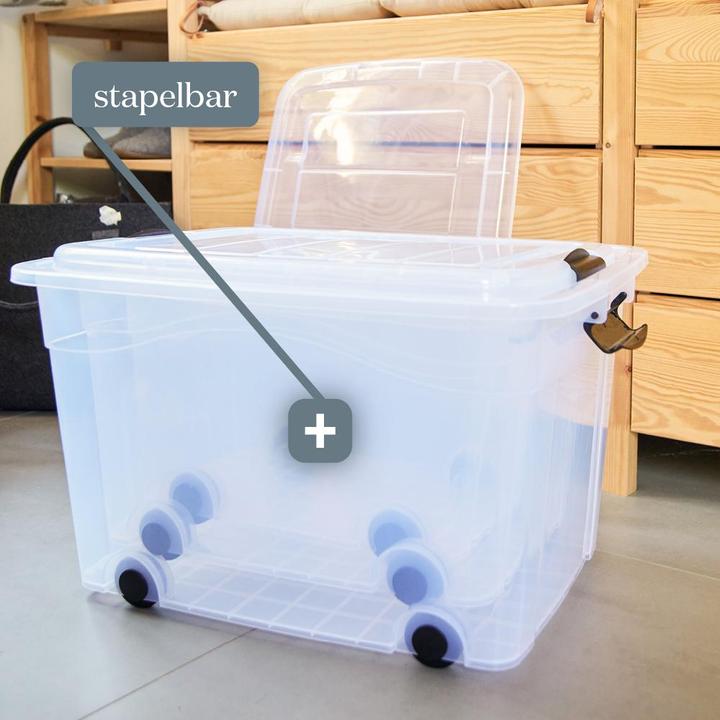 Immagine prodotto Siena Home Cassetta portaoggetti da 40 l con ruote (53 x 40 x 32 cm, 40 l)
