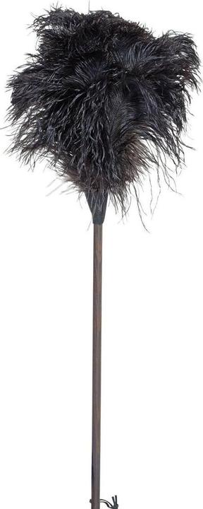 Immagine prodotto Bürstenhaus Redecker Struzzo frond (1 pz.)