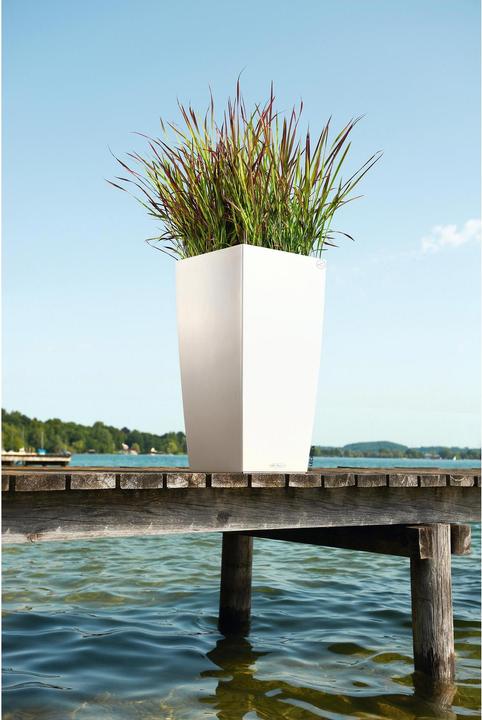 Image du produit Lechuza Cubico Color (39.50 cm)