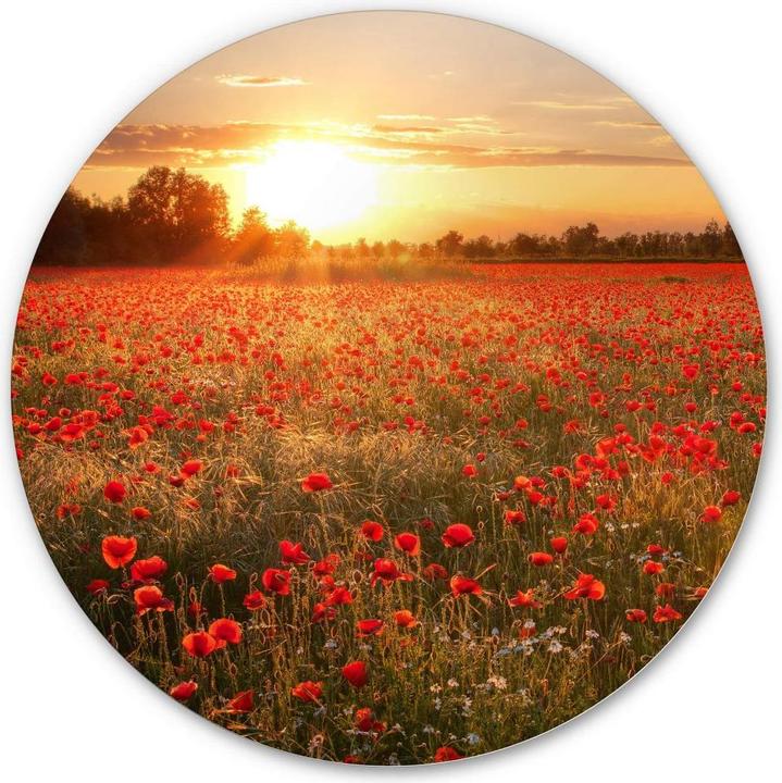 Image du produit Trenddeko Champ de coquelicots au coucher du soleil (Ø 45 cm)