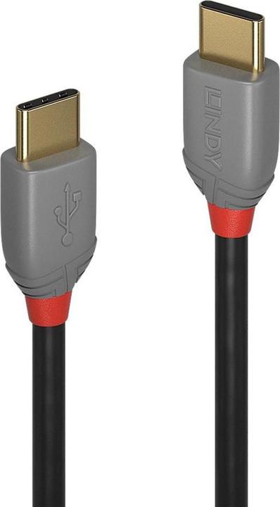 Immagine prodotto Lindy Anthra Line (0.50 m, USB 2.0)
