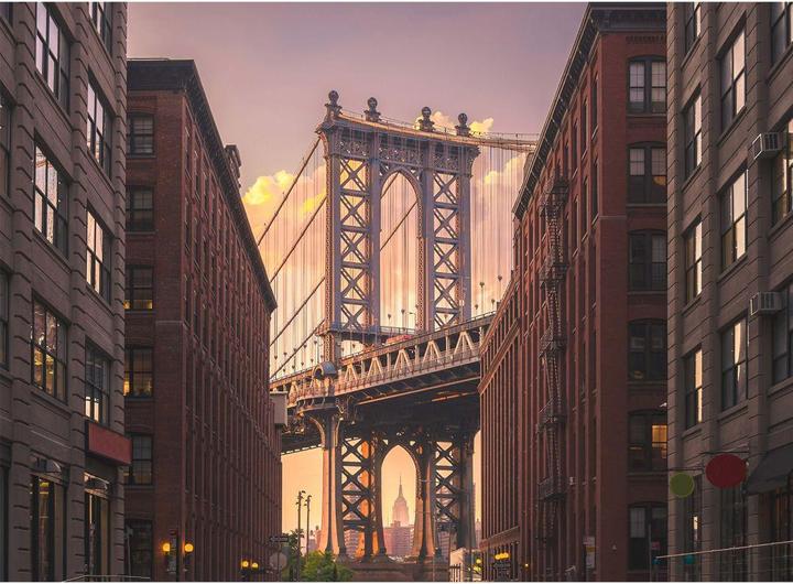 Immagine prodotto Livingwalls Designwalls Brooklyn Bridge City (350 x 255 cm)
