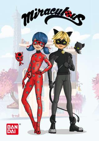 Actual product image Bandai Miraculous Ladybug and Cat Noir