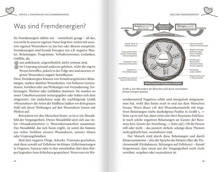 Image du produit Fremdenergien (Allemand, Claus Walter, 2023)
