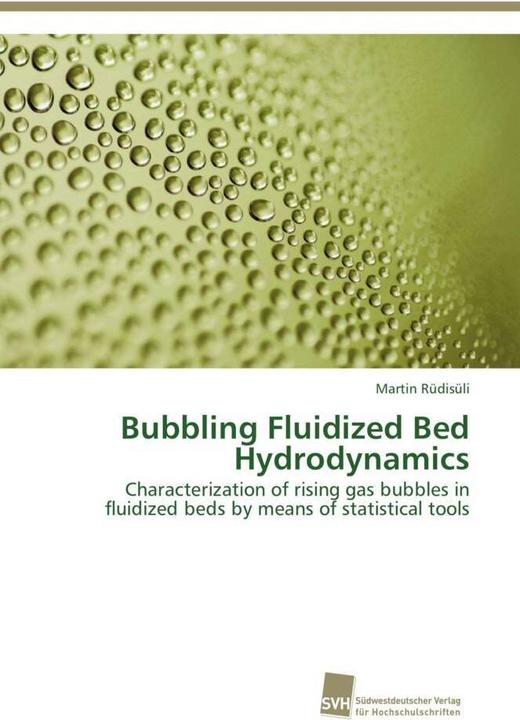 Actual product image Bubbling Fluidized Bed Hydrodynamics (Martin Rüdisüli, 2012)