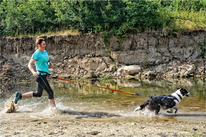 Produktbild Non-Stop Dogwear Bungee (M, Hund, Jogging)