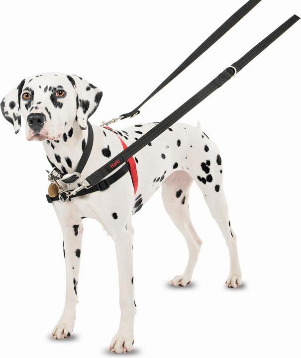 Produktbild Company of Animals Halti Antizug S Front Control (S, Hund, Allgemein)