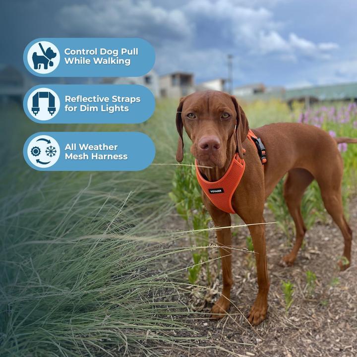 Produktbild Voyager Air Frontier Mesh-Hundegeschirr (M, Hund)