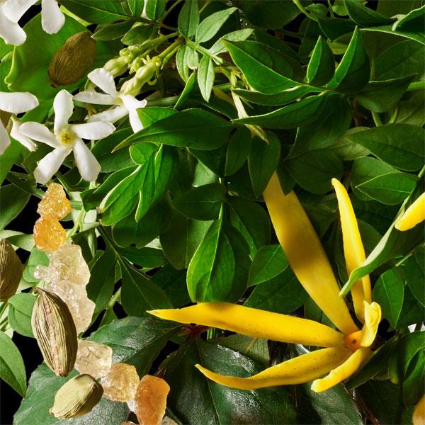 Actual product image Molton Brown Relaxing Ylang-Ylang (300 ml)