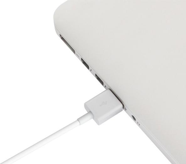 Image du produit Moshi Câble de recharge blanc/argent (1 m, USB 2.0)