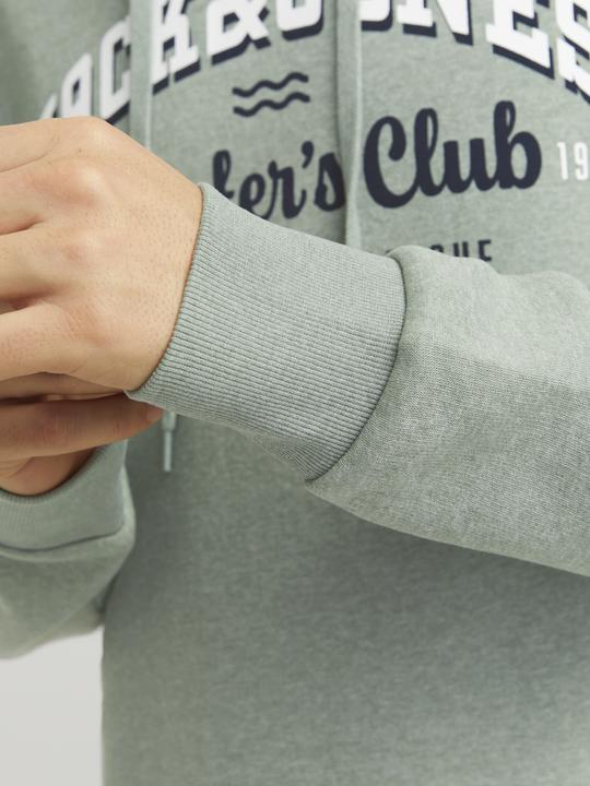 Produktbild Jack & Jones JJELOGO SWEAT HOOD 2 COL 24/25 NOOS (M)