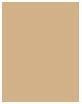 Actual product image Sisley Sisleÿa Le Teint (1B Ivory)