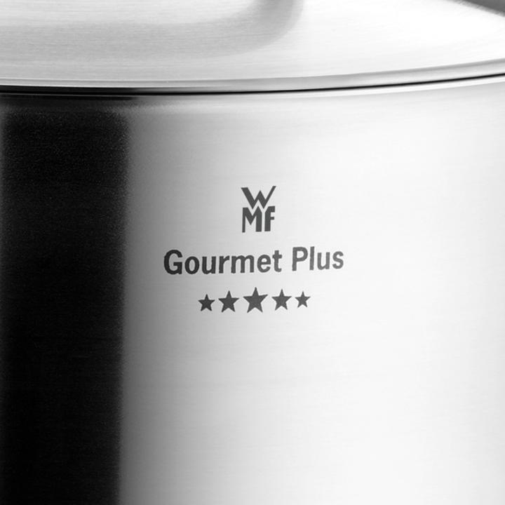 Actual product image WMF Saucepan 20cm Saucepan Lid Gourmet Plus Induction Stainless Steel (20 cm, Pot, Stainless steel)