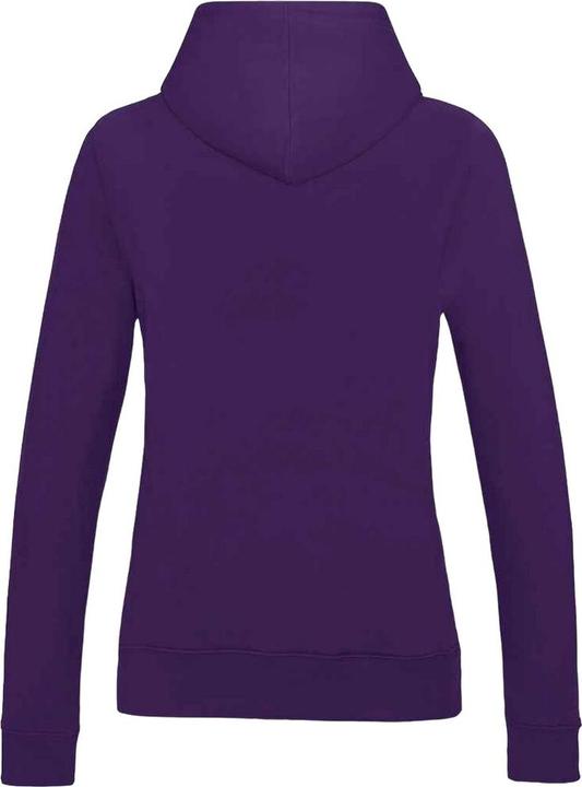Produktbild Awdis College Kapuzenpullover (XXL)